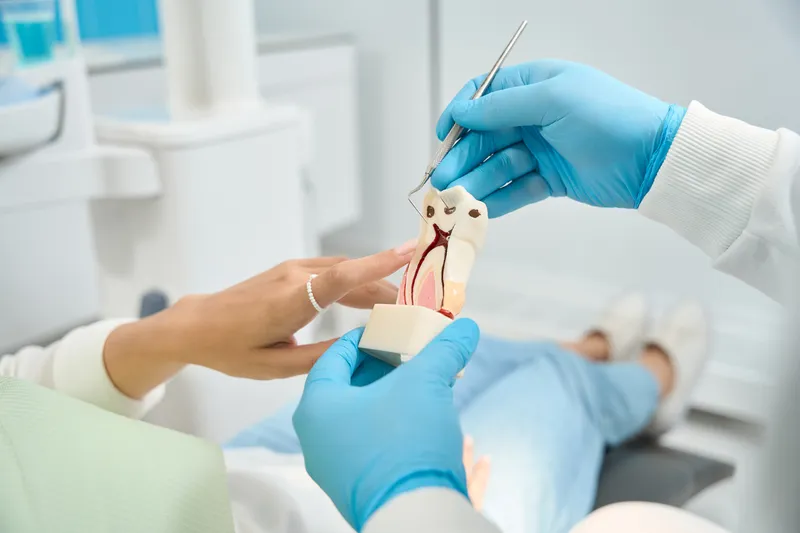 Dentista explicando o caso ao paciente com um modelo dentário
